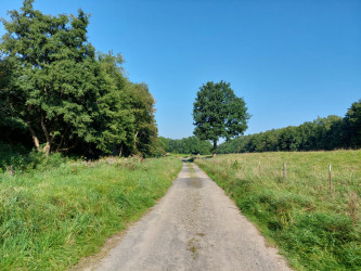 Weg an der Nordradde