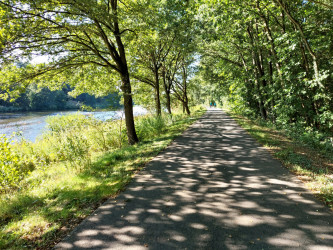 Fuß-/Radweg an der Ems