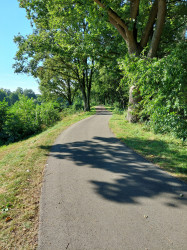 Fuß-/Radweg an der Ems